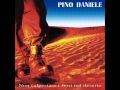 'O cammello 'nnammurato. Pino Daniele 