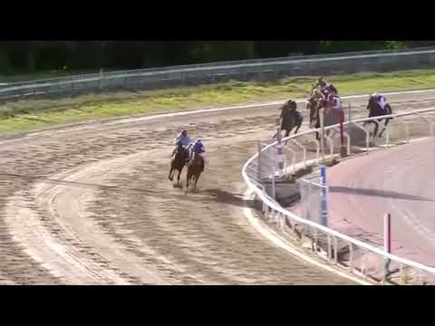 Siste 600 m Svenskt Derby 2020