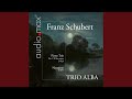 Adagio for Piano Trio in E Flat Major, D. 897: Notturno