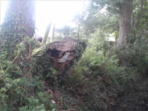 Hunt for Sway Towers 'Lore Ley' and the Mill Lane dragon