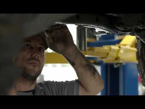 The Sonic Pathway Program