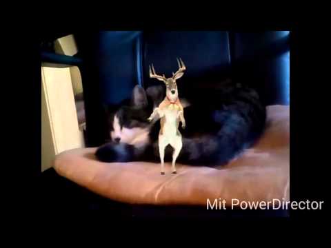 Jeremxy Kanal trailer