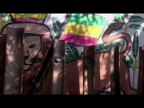 Roots Attack in Jamaica 3/5