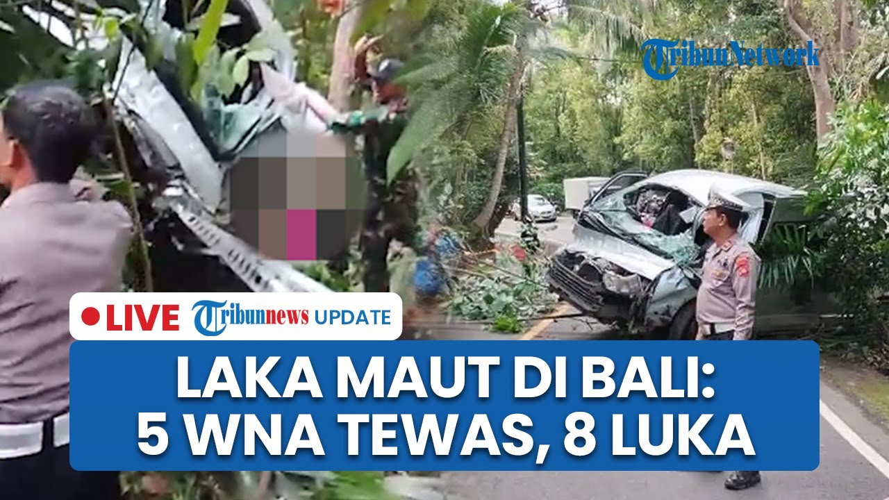 LIVE: Kecelakaan Maut Minibus Bawa 13 WNA di Buleleng: Tabrak Pohon hingga Masuk Jurang, 5 Tewas
