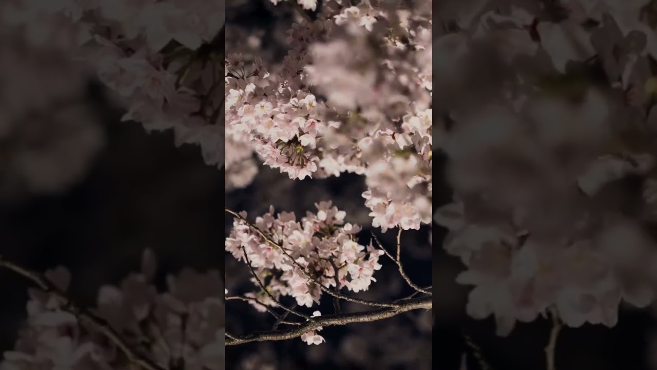 YouTube Short thumbnail