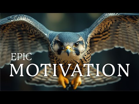 Powerful Motivational Music for Inspiration, Discipline & Inner Strength