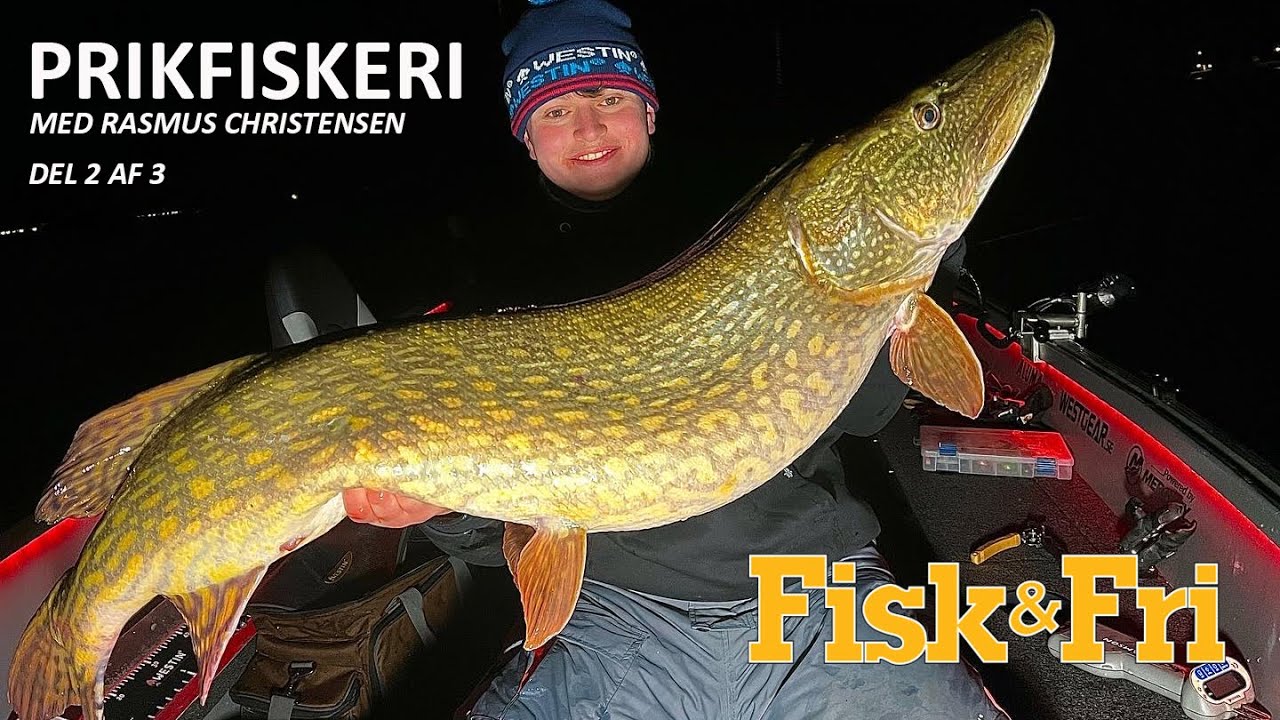 NY VIDEO: PRIKFISKERI MED RASMUS CHRISTENSEN – DEL 2 AF 3