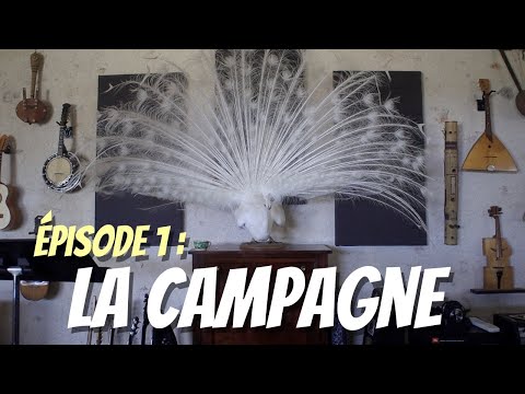 Orchid Big Band - Premier album « Éclosion » - Ep.1 : La Campagne