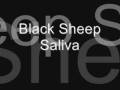 Black Sheep Saliva 