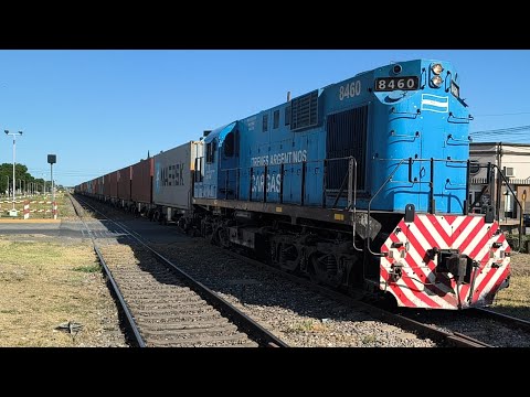 8460 con el tren de alfalfa por empalme villa constitución ‼️‼️
