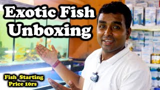 New Aquarium Fish Unboxing Fish Aquarium Hobby