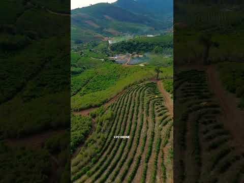 Santa margarida mg #interior #minasgerais #drone #café