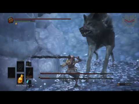 Dark Souls 3 : The Lionheart Champion Boss Fight