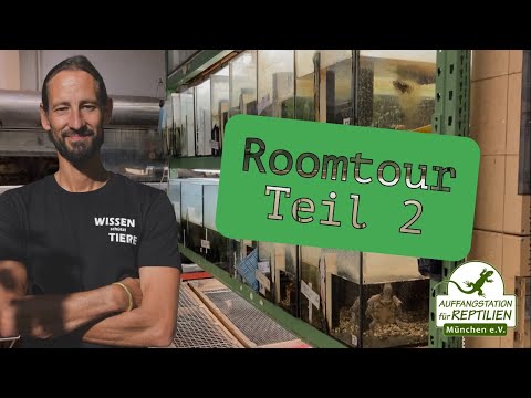 Room Tour Part 2 🐢 | Reptiles, Terrariums & Their Exciting Stories