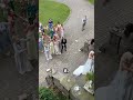 Kid catches bouquet at wedding 😂