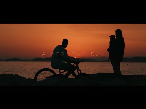 Perfektní den
