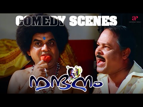 Nandanam Malayalam Movie | Comedy Scenes | Prithviraj Sukumaran | Navya Nair | Jagathy