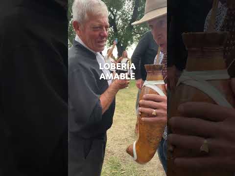 Lobería - identidad