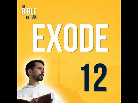 D31 - The night of deliverance - morning ☼