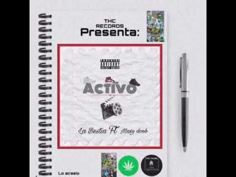 ACTIVO (Freestyle)