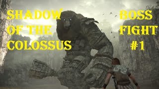 Shadow Of The Colossus - How To Kill - Boss Fight #1