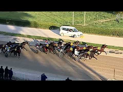 Aversa trotto 28 Dicembre 2022 - 8° Corsa