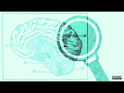 Stacco Troncoso at Prix Ars 2016