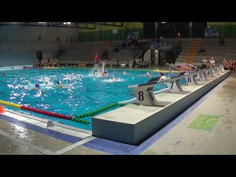 hst happy master - insport poli novate 7-4