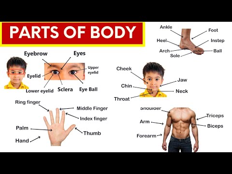 Hindi Medium के बच्चे अब फर्राटेदार English बोलेंगे। 100 Guarantee। Learn English Speaking Easily