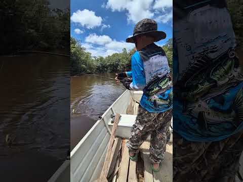 Mathias pesca un perro de quebrada, Río Japurá, Amazonas Brasil