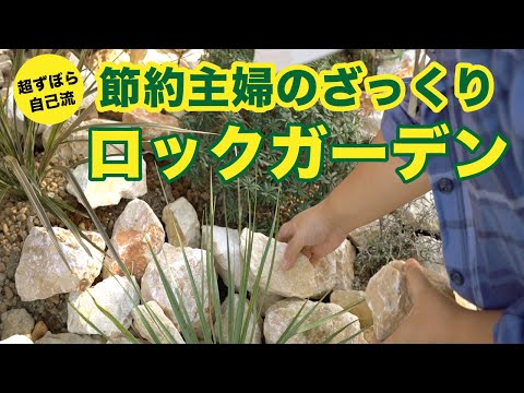 園芸 石をドレスアップするユキノシタ科の植物