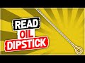 How to Check Your Engine Oil Level & Read an Oil Dipstick