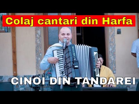 CINOI DIN TANDAREI - STRIGA CATRE DOMNUL - COLAJ CANTARI VECHI