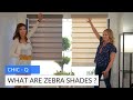Chic-Q | What are Zebra Shades ?