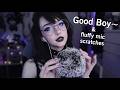 Asmr Fluffy Mic Scratches Randomly Whispering Good Boy