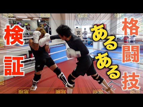 格闘技あるあるを検証してみた