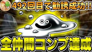 【DS版DQ5】DQM4開発決定！仲間モンスター全72種類をコンプリートする生配信-Part4-(終)【LIVE】