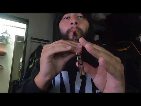 Tin whistle ornament training 04/03/2021