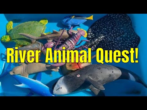 River Play: Learn Sea Animal Names for Kids | Fun Water Toy Adventure