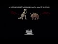 Early Man 2018 Funny Credits Message No Dinosaurs Or Rabbits Were Harmed
