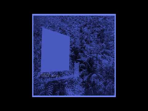 Noah Lyas - Continuum