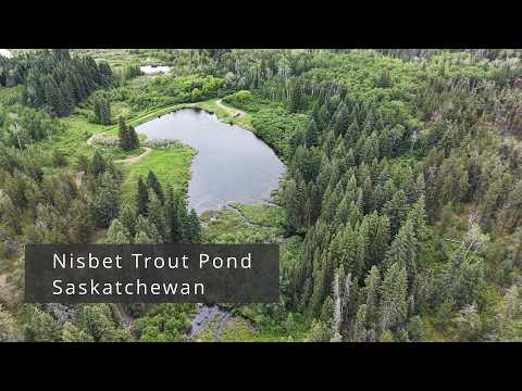 Nisbet Trout Pond - Saskatchewan  (just north of Prince Albert)