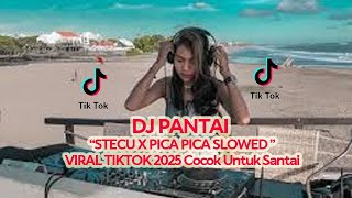 Download lagu DJ TIKTOK STECU X PICA PICA SLOWED VIRAL TIKTOK 2025 mp3