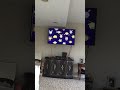 Opening To Arthur S Tooth 1998 VHS