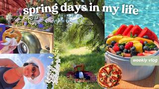 fun days in my life, spring festival & home updates!🐝