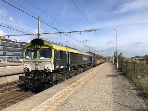 (HD) Class 66s at Antwerpen Luchtbal & Norderdokken - 16/8/19