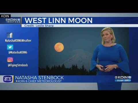 11 p.m. Wednesday evening forecast KOIN 6 News March 20, 2019