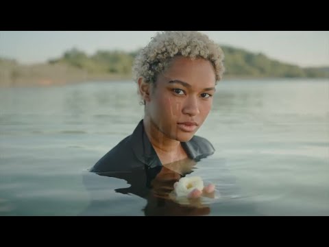 Liviu Didu , Iulian Grigoras & Serban - Un peisaj frumos Official Video