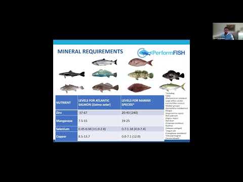 , title : 'PerformFISH Webinar: NUTRITION AND FEEDING IN SEABREAM AND SEABASS PRODUCTION, David Dominguez'