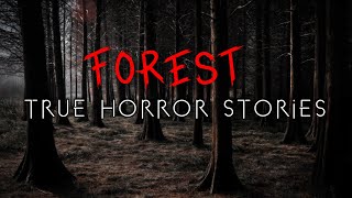 3 Unnerving Forest Hiking & Camping Horror Stories